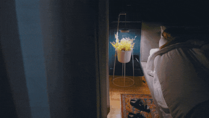 the uplift planter by modern sprout is an elevated plant stand with app-enabled grow light