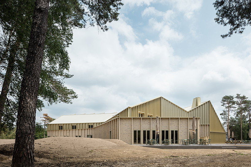 monadnock de zwarte hond