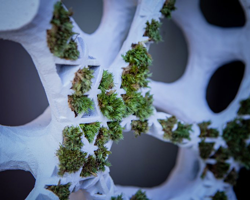 yong ju lee embeds plant life into architecture with 'moss tower' prototype