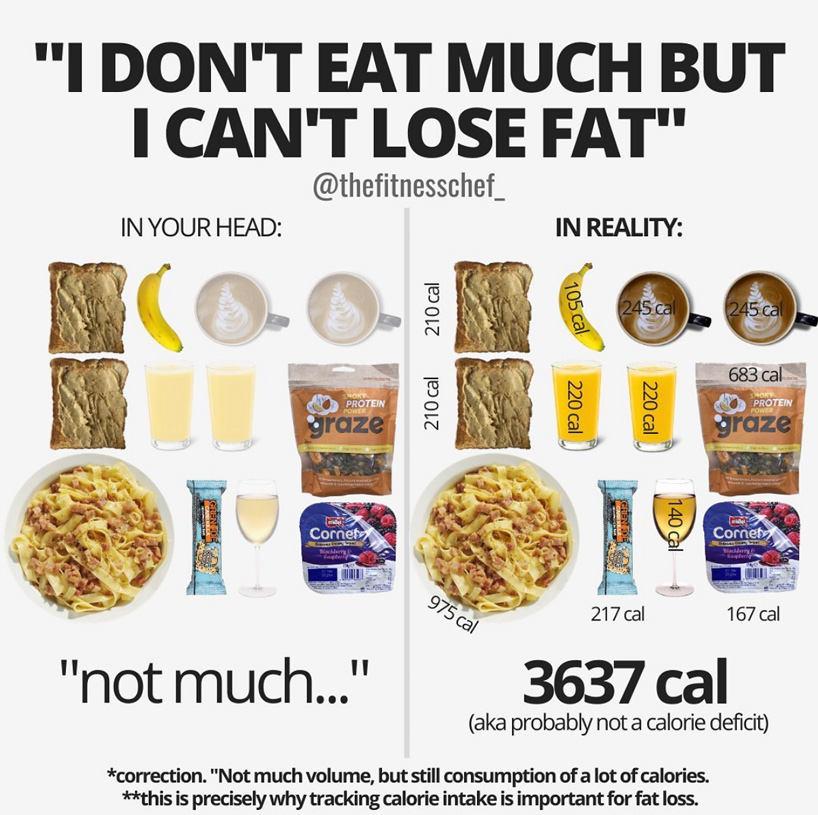 nutrition infographics showing the amount of calories consumed in a day