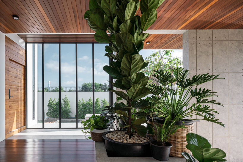greenery grows inside the house by TOUCH architect