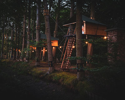 treehouse hotel complex offers glamping experience along forest path in bruges, belgium
