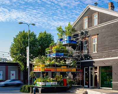 design studio annvil realizes the first experimental urban vertical garden in latvia
