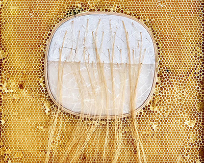 ava roth collaborates with bees in embroidery artworks contained by honeycombs