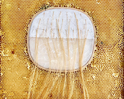 ava roth collaborates with bees in embroidery artworks contained by honeycombs