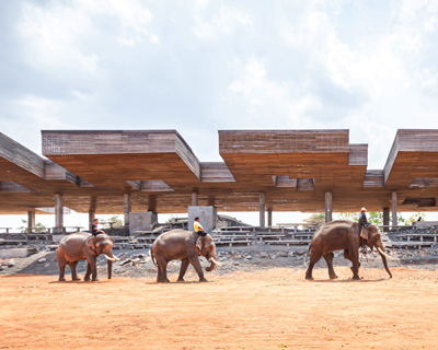 bangkok project studio creates 'cultural courtyard' for elephants + humans in thailand