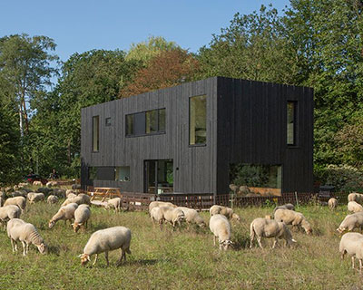 black birch wood clads prefabricated cabin by joris verhoeven in the netherlands