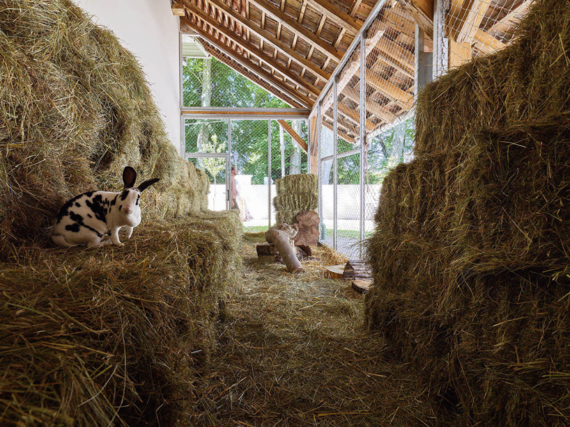 FREAKS refurbs strasbourg zoo's pedagogical farm in north-west france designboom