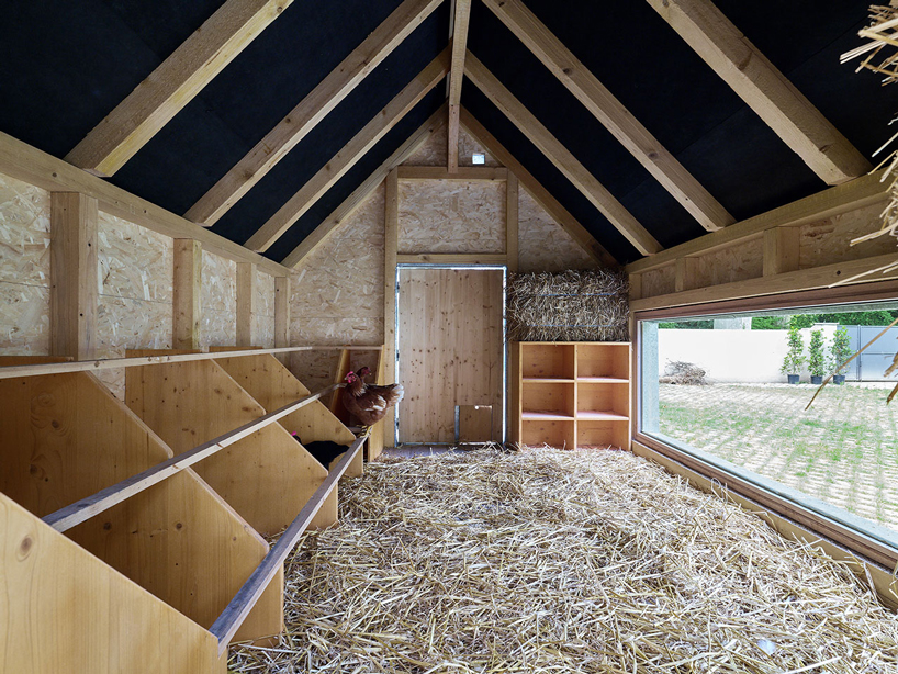 FREAKS refurbs strasbourg zoo's pedagogical farm in north-west france designboom