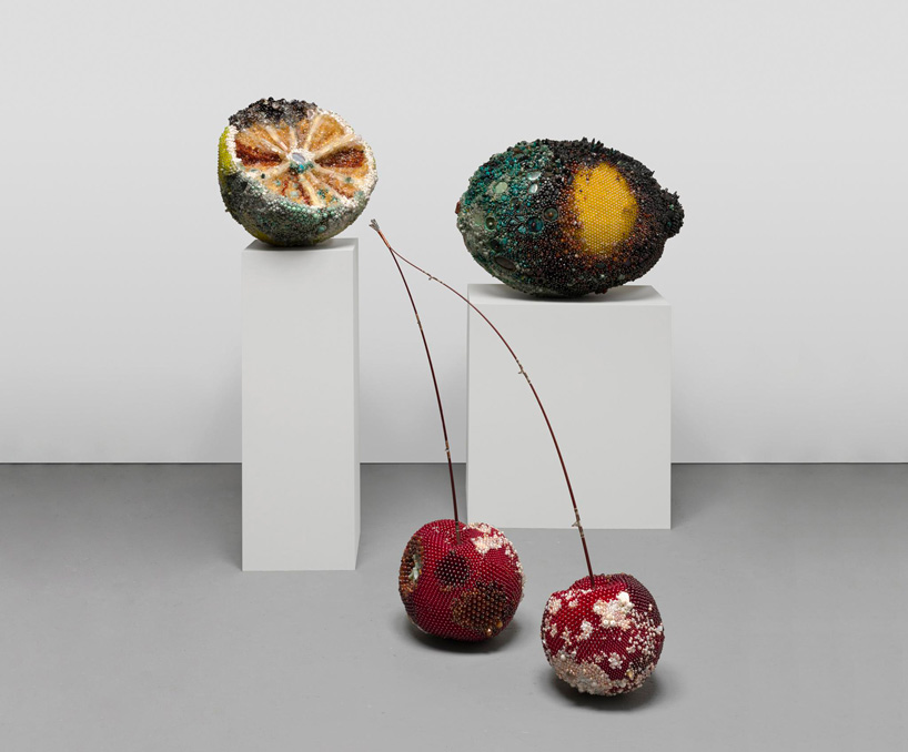 Bad Fruit: Rotten Fruits Transformed into Art Piece
