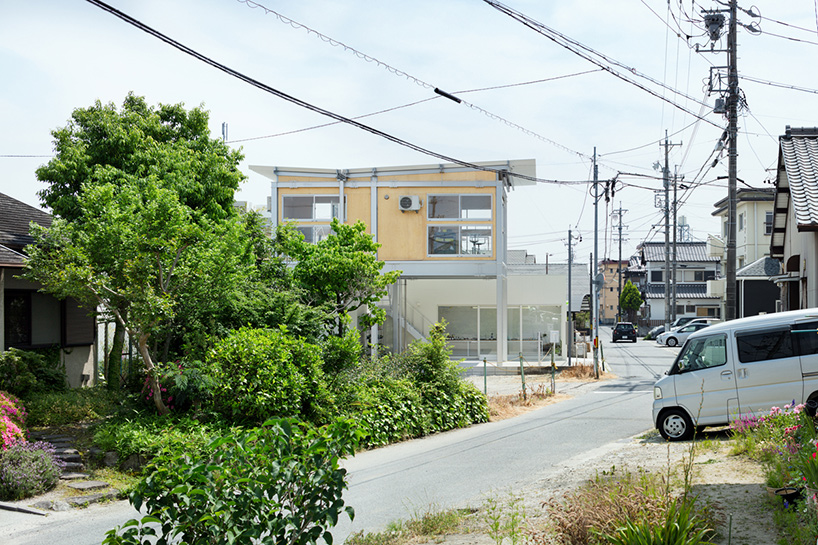 keisuke hatakenaka dog grooming salon
