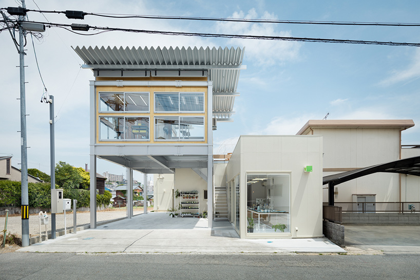 keisuke hatakenaka dog grooming salon