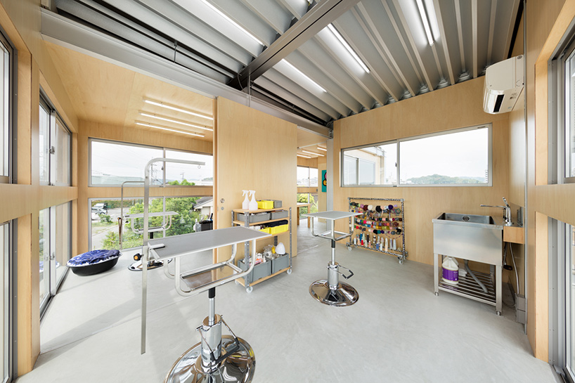 keisuke hatakenaka dog grooming salon