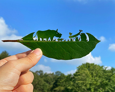 lito leaf art, the japanese artist that carves tree leaves to create magnificent scenes