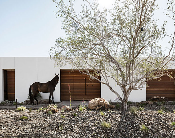 the ranch mine transforms neglected horse farm into secluded respite in arizona