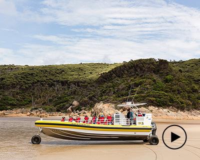 sealegs unveils the 12M cabin rib, the world’s largest amphibious production boat