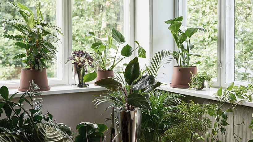 snøhetta's terra is a plant accessory series in terracota & stainless steel for georg jensen