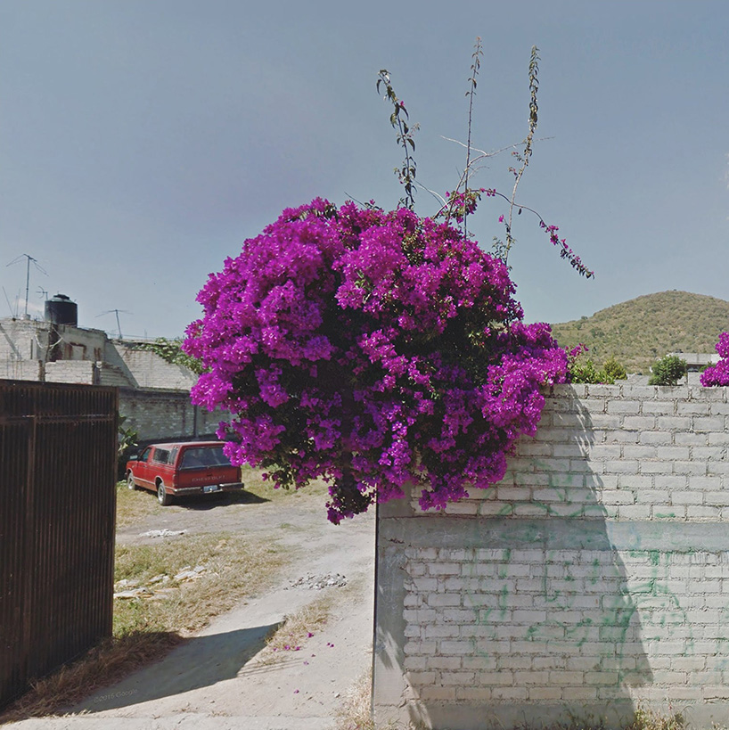 woman with agoraphobia uses google street view to travel to the most remote places