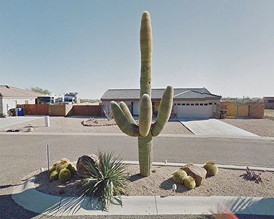 woman with agoraphobia uses google street view to travel to the most remote places