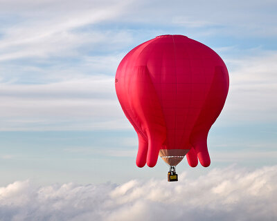 barbara anna husar releases her 'flying udder' hot air balloon over vienna