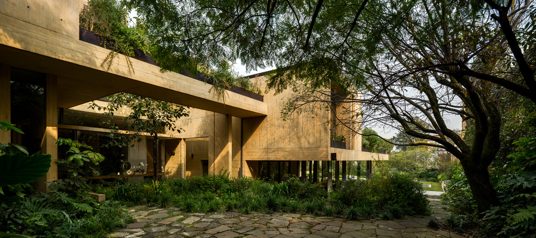estudio MMX shapes CBC house in mexico city as a continuous garden - 1