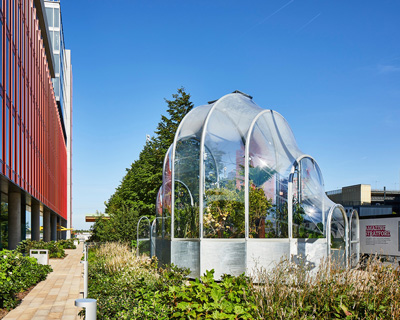 an edible jungle of tropical species grows within studio weave's tiny greenhouse in london