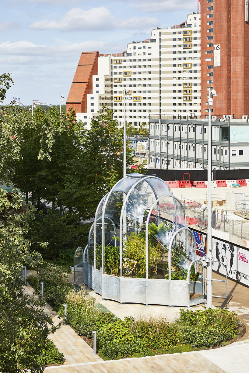 an edible jungle of tropical species grows within studio weave's tiny greenhouse in london