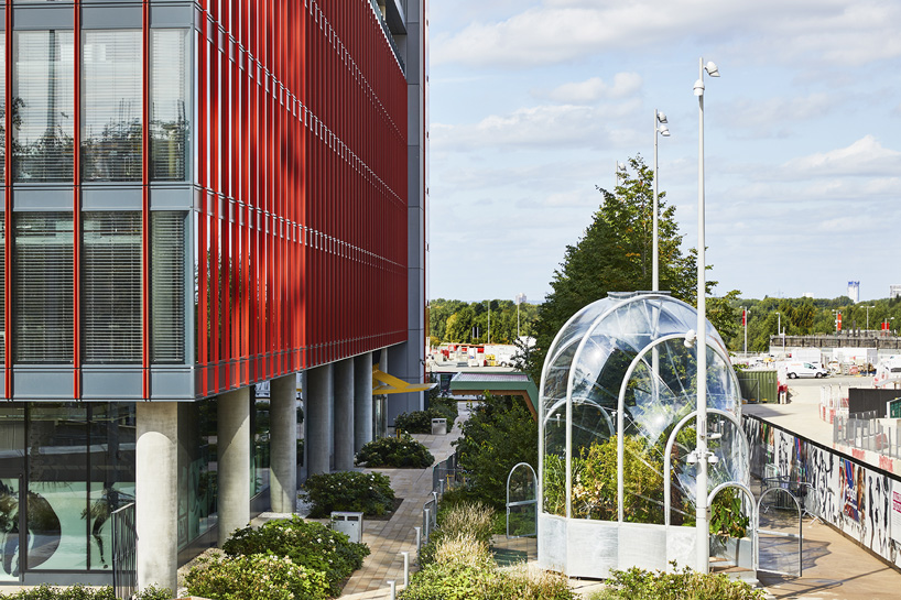 an edible jungle of tropical species grows within studio weave's tiny greenhouse in london