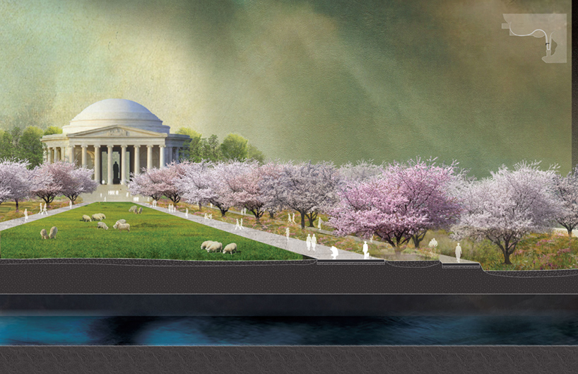 washington dc tidal basin