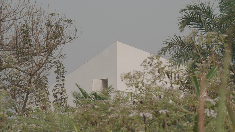 OMA white cube lircaei