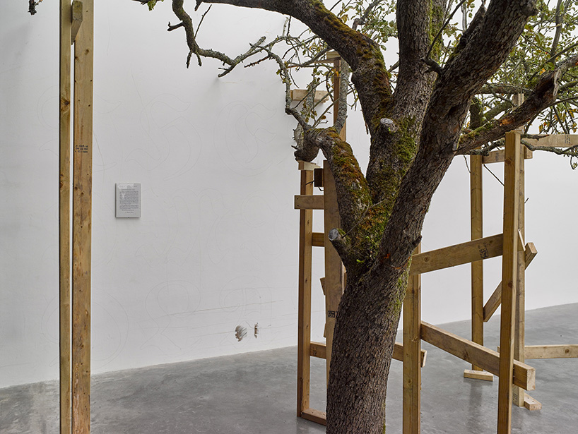 danh vo's chicxulub solo show at white cube is literally being dismantled and burned