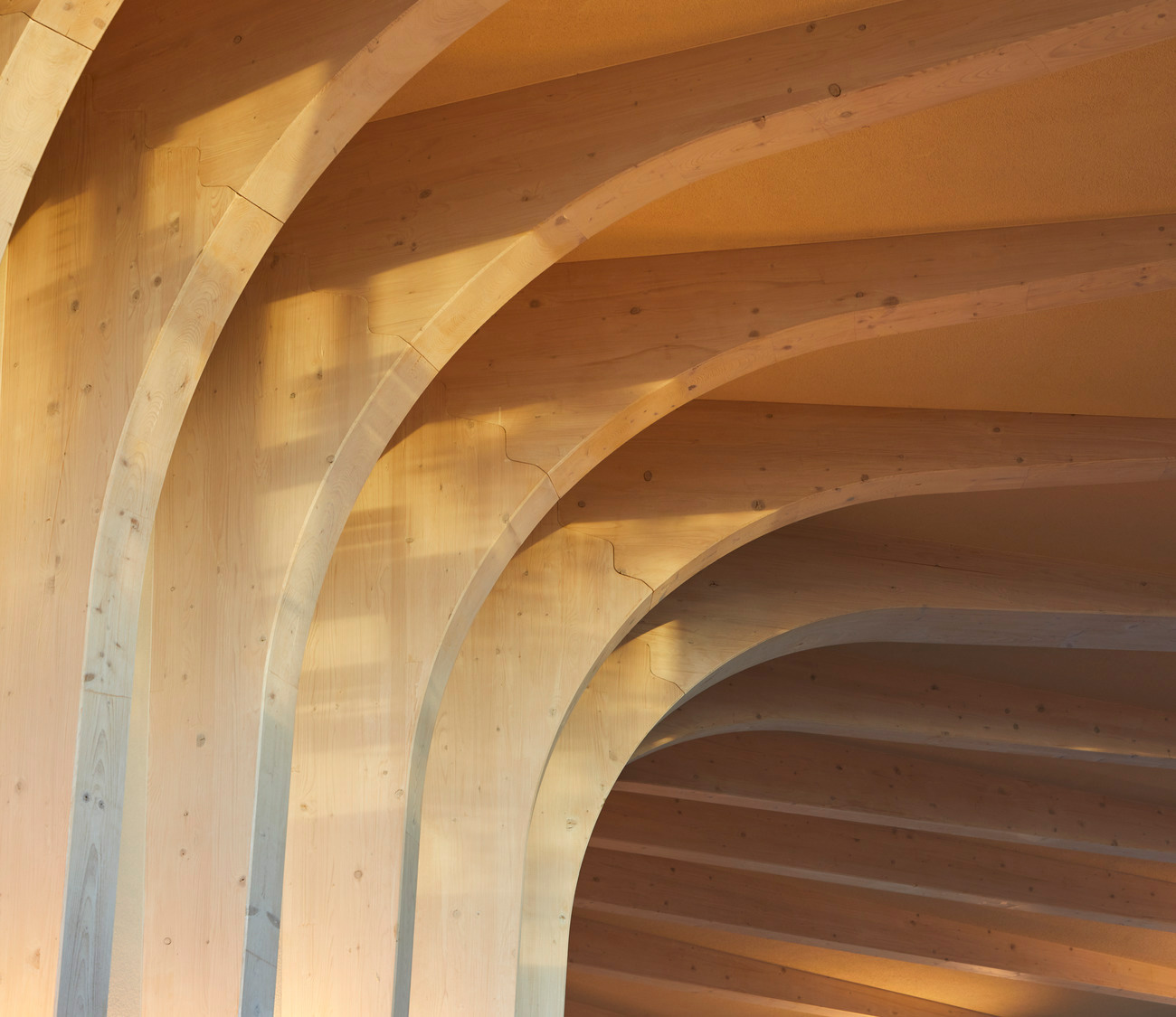 interview jennifer bonner mass timber