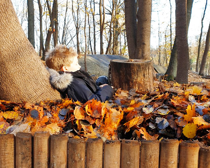 'leaf pools' by ulf mejergren architects celebrate the colors of fall