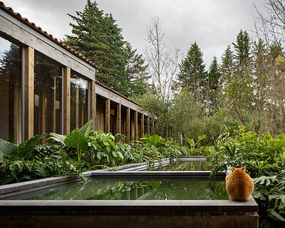manuel cervantes estudio uses local materials to build secluded residence in mexican forest