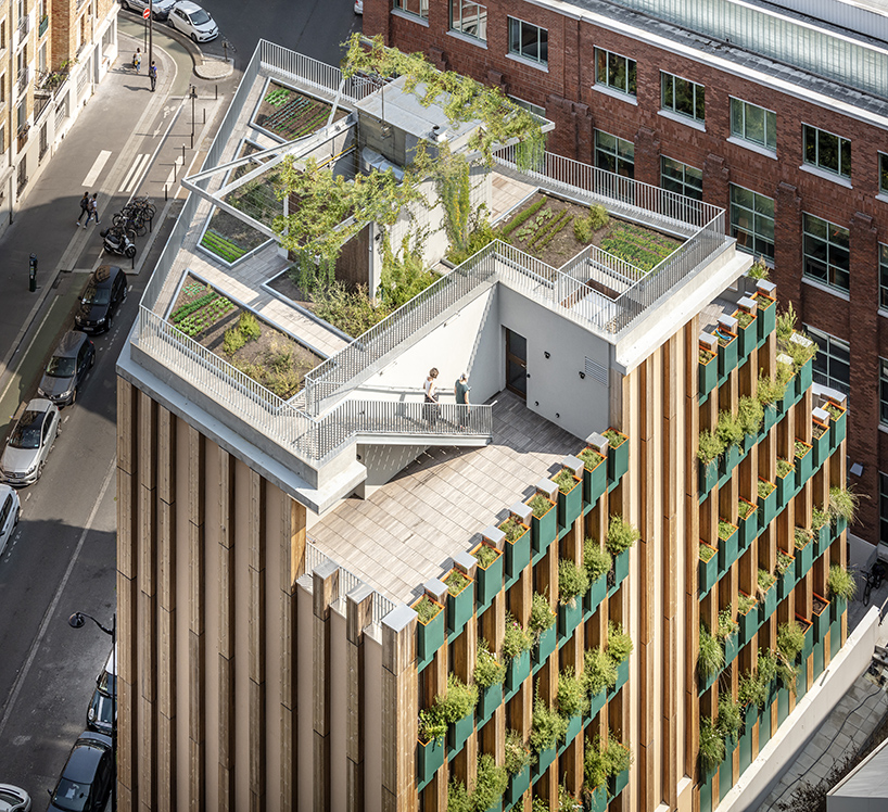 manuelle gautrand edison lite