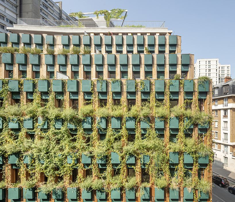 manuelle gautrand edison lite