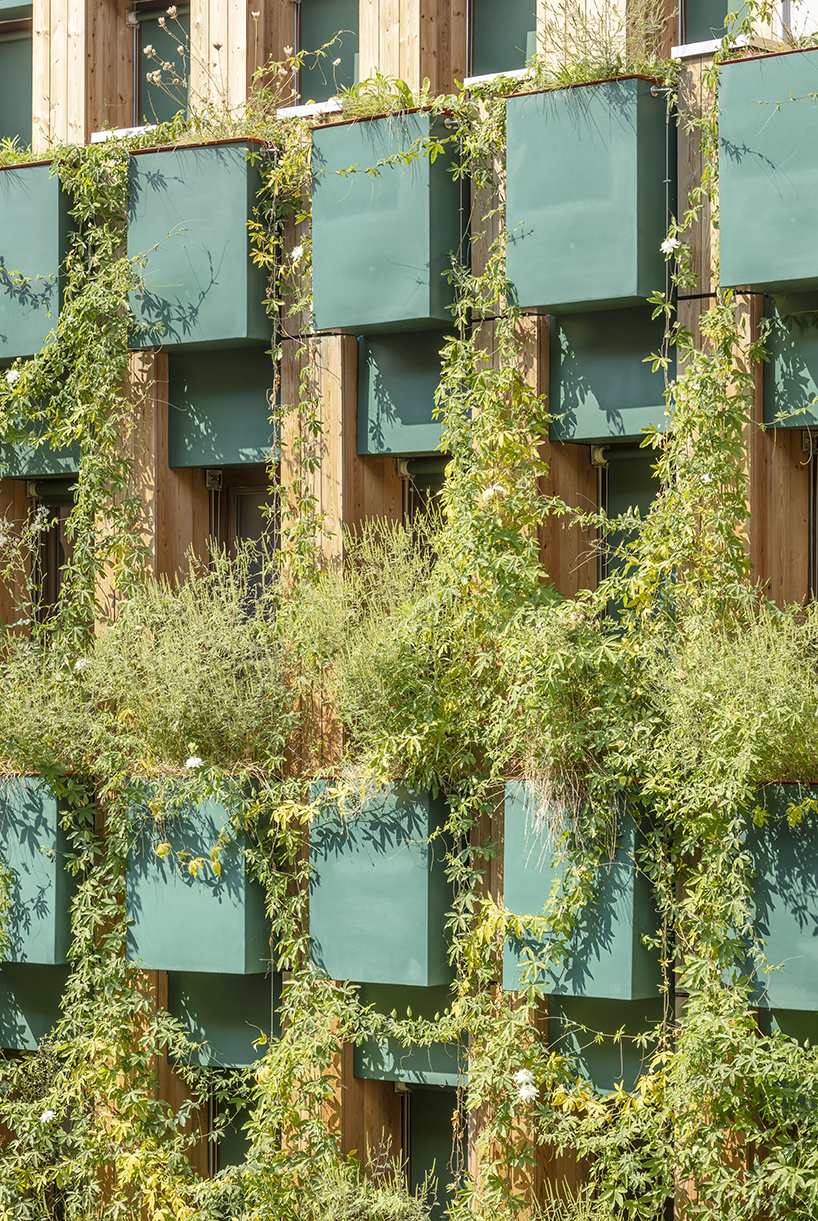 manuelle gautrand edison lite