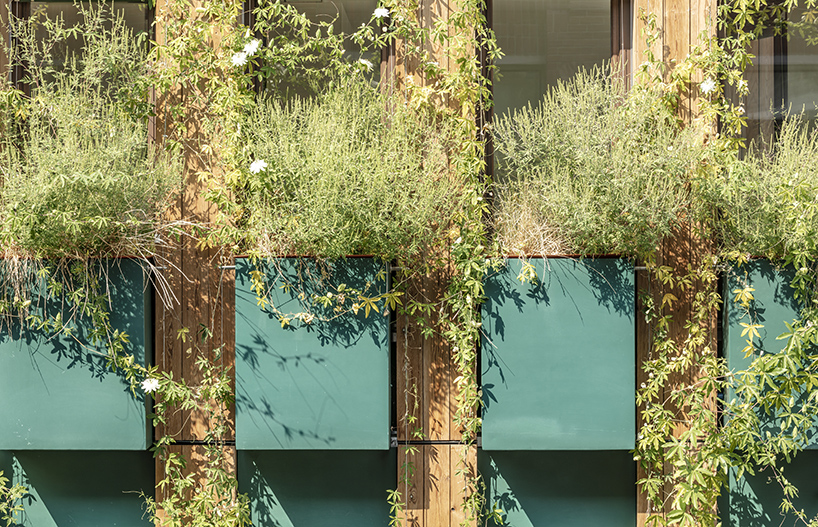 manuelle gautrand edison lite