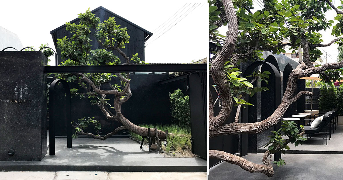 PDA puredesigns associate incorporates large trees into ‘kamut house’ cafe design in thailand