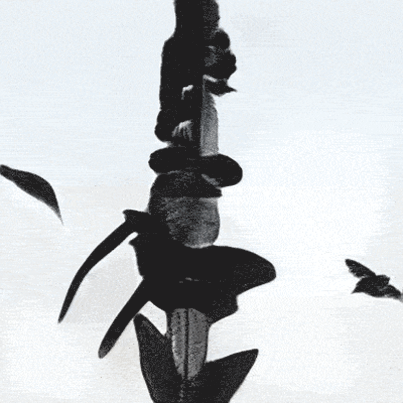 watch plant species morph into one another in AI-generated animations by stanislas chaillou - 3
