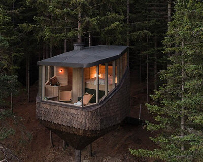 helen & hard fastens woodnest treehouse to living pine tree in norway