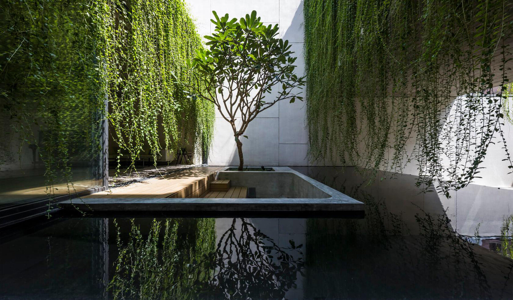open courtyards with lush greenery complete MIA design studio's concrete house in vietnam - 3