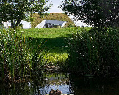 AFTER PARTY covers sliced residential volume with blooming meadow layer in lithuania