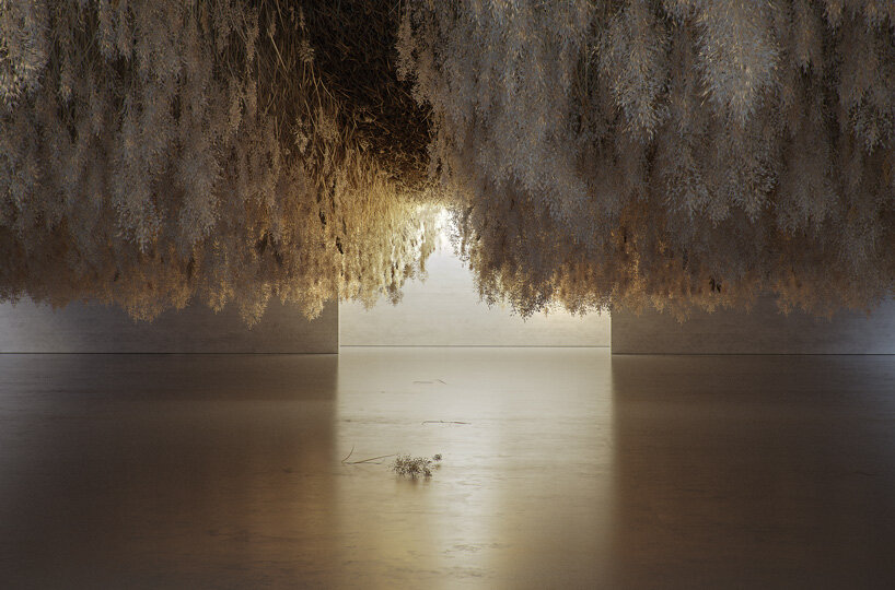 tadao cern suspends a cloud of dried grass strands in immersive installation 'french exit'