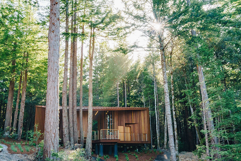 ナチュラルウッド オブジェ openscope gently frames california's better place forest