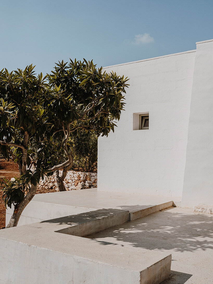 andrew trotter villa cardo