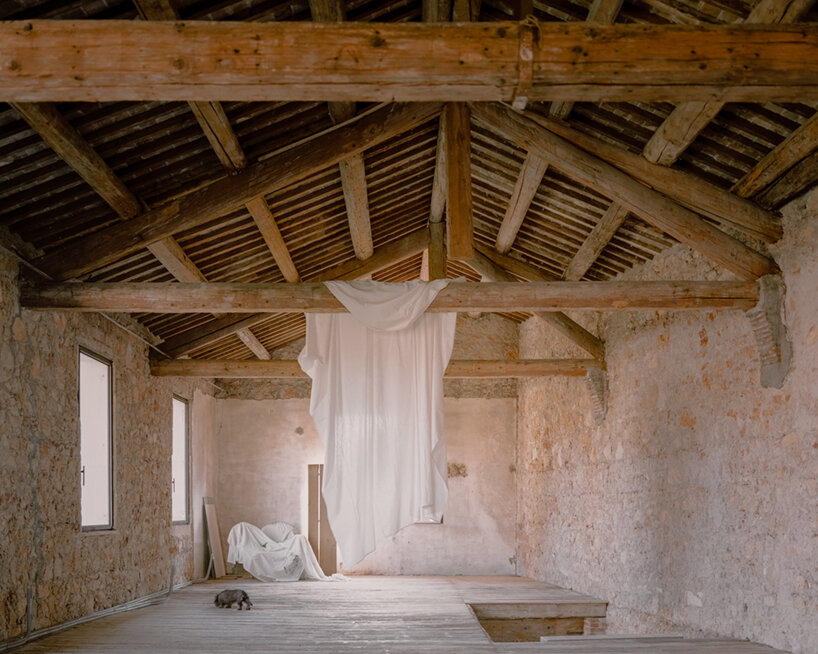 AMAA pleonastic fantastic