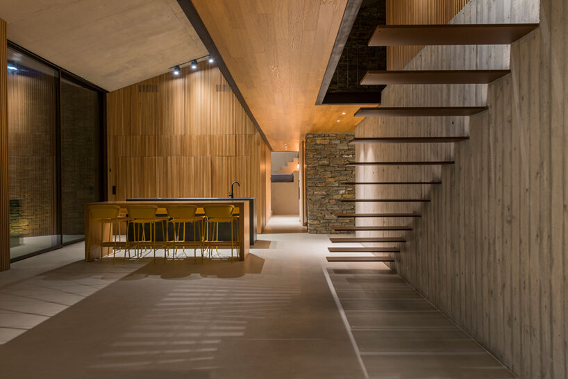 mold architects nCAVED