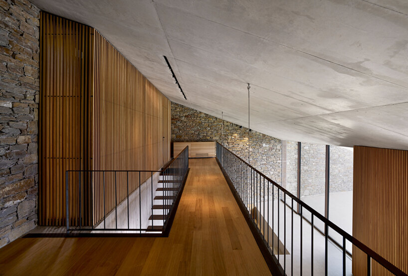 mold architects nCAVED