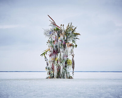 in frozen flowers, azuma makoto uses ice to preserve floral installations